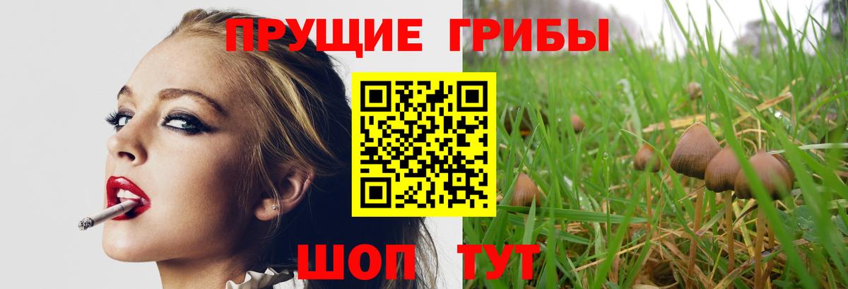 Галлюциногенные грибы GOLDEN TEACHER Мончегорск